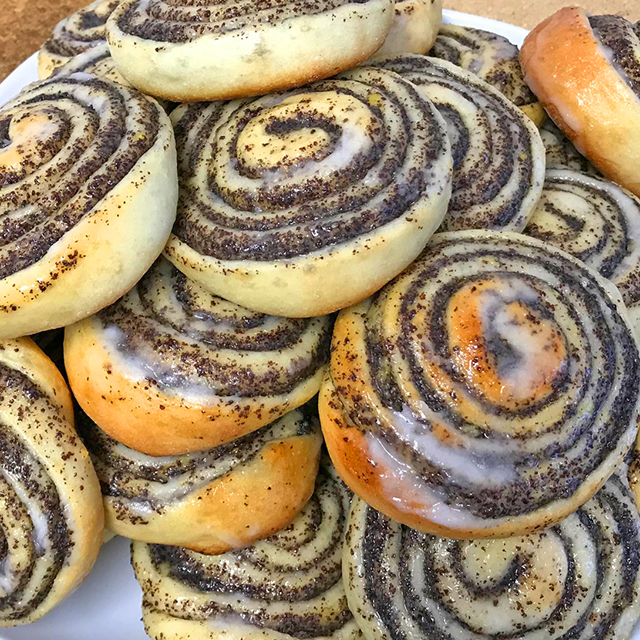Mohnschnecken