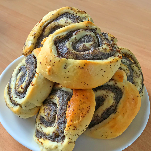 Mohnschnecken