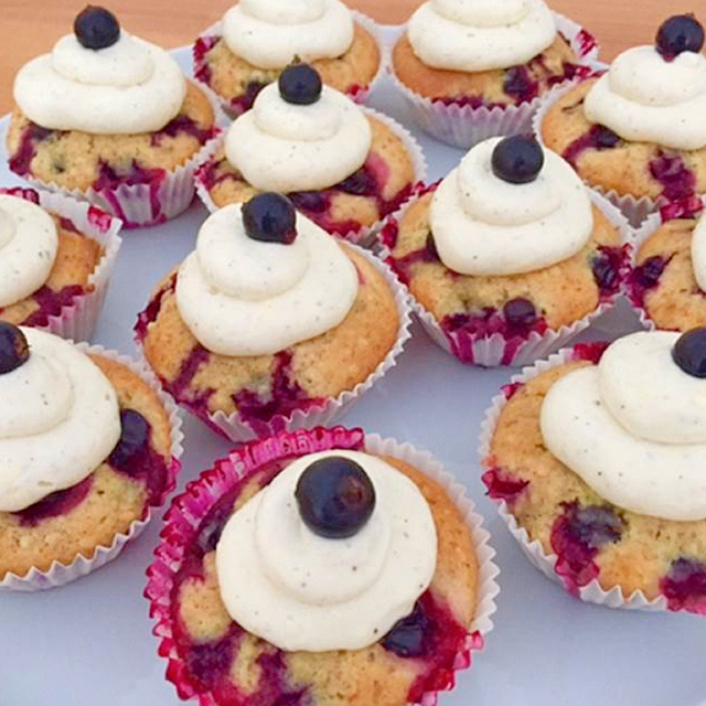 Schwarze-Johannisbeer-Cupcakes