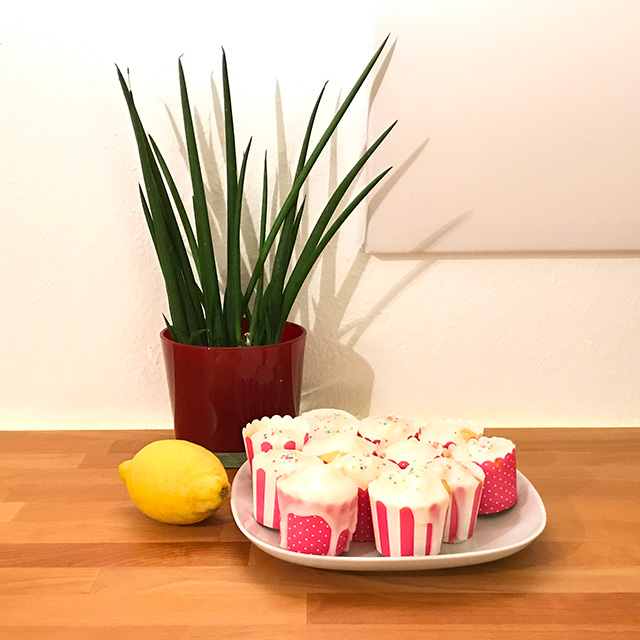 Zitronenmuffins